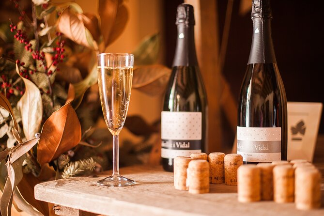 Wine, Tapas & Cava Private Tour From Barcelona - Booking and Pricing Options
