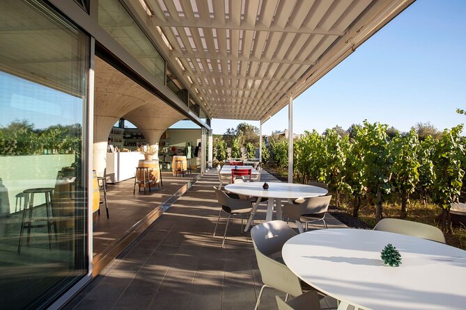 Wine Tasting the CLASSICS - Savoring the Flavors of Italy