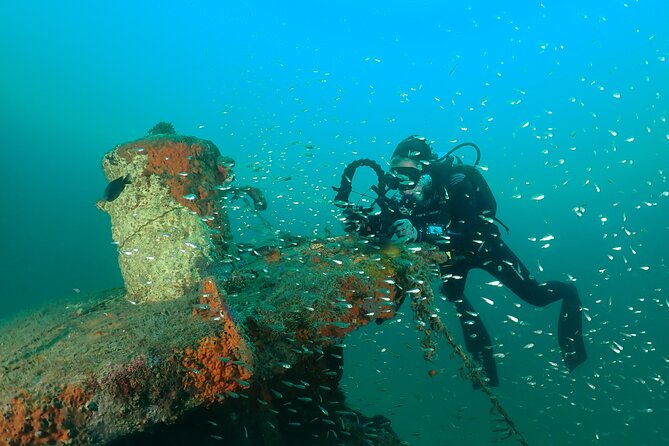 Wreck and Bridge Span Dive for Certified Divers - Recommendations