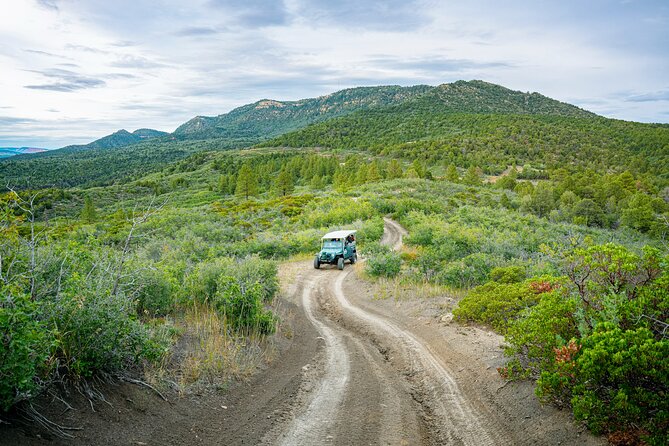 Zion Sunset Jeep Tour - Customer Testimonials and Feedback