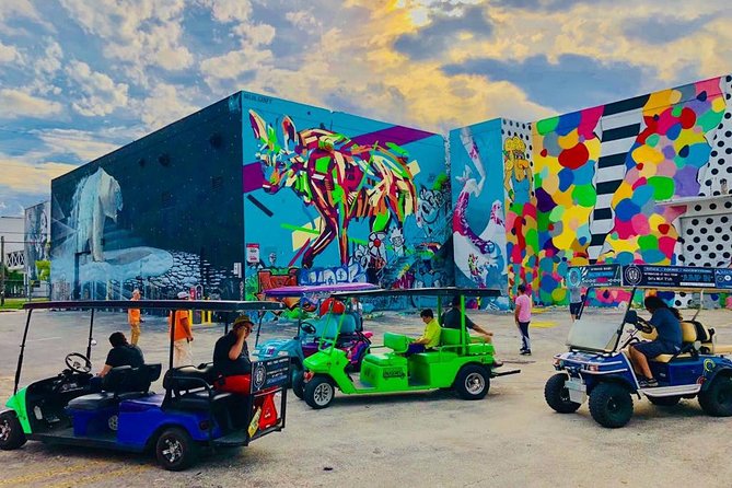 1 Hour WYNWOOD BUGGIES Tour (Language: ENGLISH) - Personalized and Engaging Tour Experience