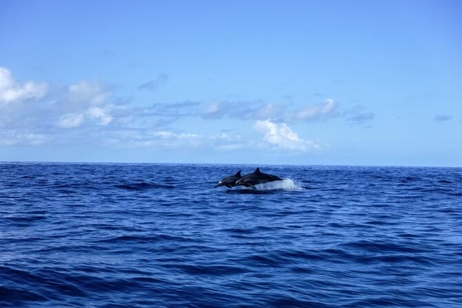 3.5 Hour Kailua-Kona Ocean Kayak and Snorkel Tour - Booking and Availability