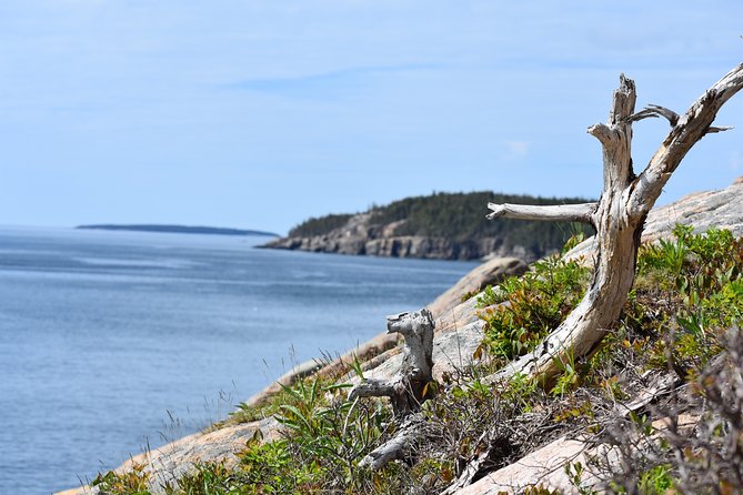 3 Hour Private Tour: Explore All the Top Spots of Acadia! - Recommendations and Tips for First-Timers
