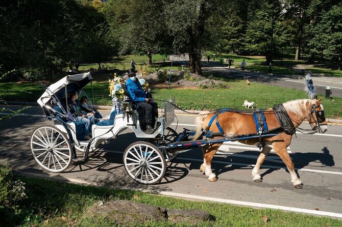 Central Park and NYC Private Horse Carriage Ride - Preparing for Your Private Horse Carriage Adventure