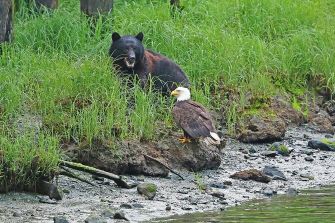 Clan House Tours: Native Cultural and Scenic Shore Excursion - Wildlife Spotting Opportunities