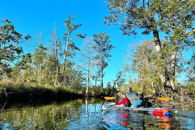 Clear Kayak Tours in Weeki Wachee - Planning Your Clear Kayak Adventure
