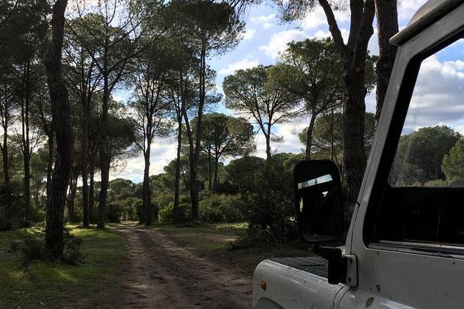 Donana National Park and El Rocío: Guided Tour From Seville - Preparing for Your Tour