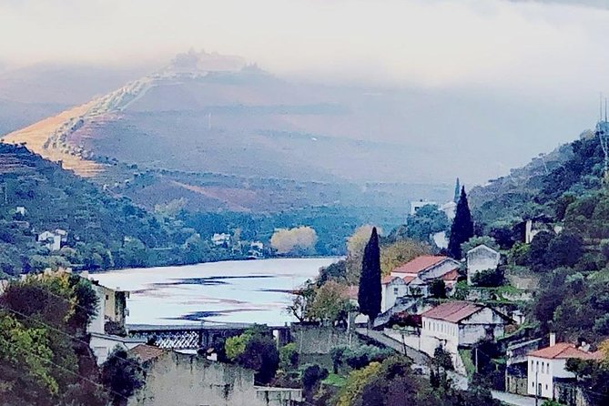 Douro Valley and Amarante Small Group Wine Tour From Porto - What to Expect on the Tour