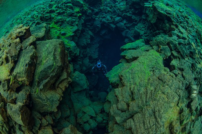 Freedive Silfra Half Day Tour - Guided Tour and Hassle-Free Entry to Thingvellir National Park