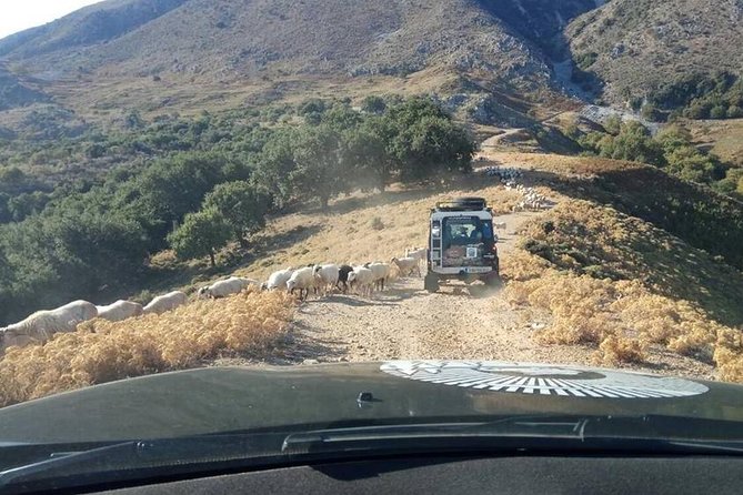 Georgioupolis Safari Off Road Tours Outdoor Activities Land Rover Defender - Ensuring a Comfortable and Memorable Journey