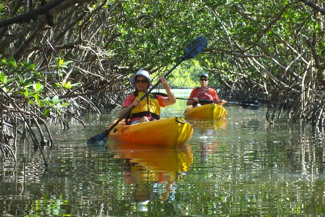 Guided Kayak Eco Tour - Bunche Beach - Kayaking Through Shallow Bays and Beaches