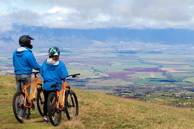 Haleakala Sunrise Best Self-Guided Bike Tour - Traveler Reviews and Feedback