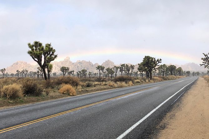 Joshua Tree National Park Scenic Tour - Planning Your Joshua Tree National Park Adventure
