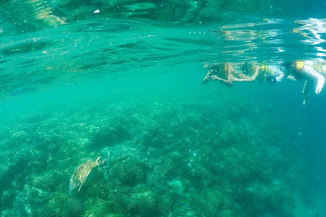 Kaneohe Sandbar Snorkeling Tour, 2nd Tour - Exploring the Sandbar