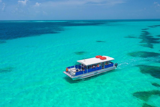 Key West Dolphin Watch and Snorkel Tour - Eco Adventure - Participant Requirements and Recommendations