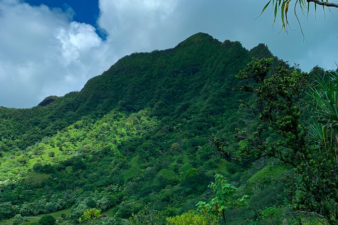 Kualoa Ranch: Jungle Expedition Tour - Traveler Feedback and Recommendations