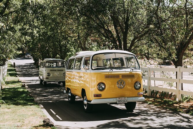 Los Angeles: Private Vintage VW Bus Tour in Malibu - Curated Wine Tasting Experience