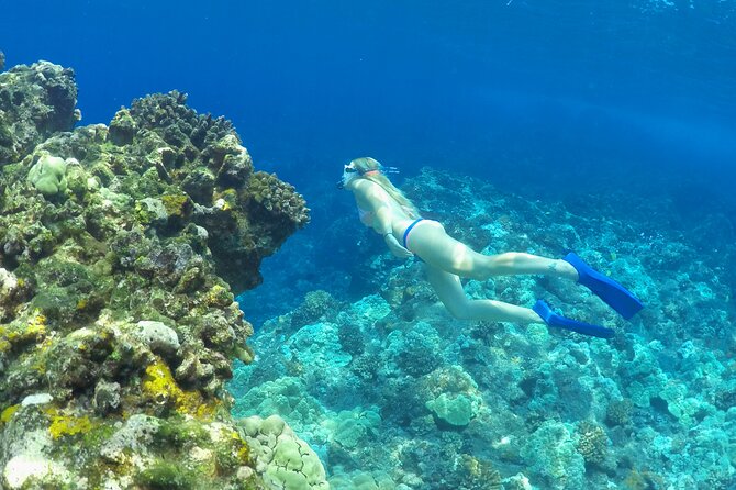 Luxury Kona Coast Snorkel Tour Including Lunch - Booking and Pricing Details