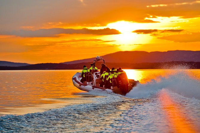 Lysefjord RIB Safari From Stavanger - Safety Guidelines and Health Recommendations