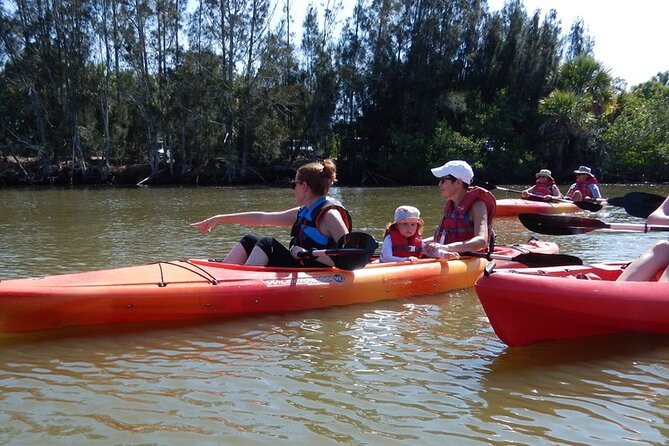 Manatee and Dolphin Kayaking Encounter - Ideal Conditions for the Tour