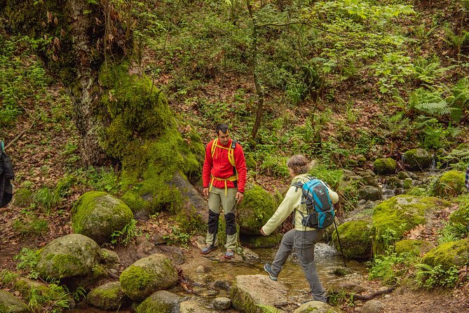 Meteora Small Group Hiking Tour With Transfer and Monastery Visit - Accommodating Different Skill Levels