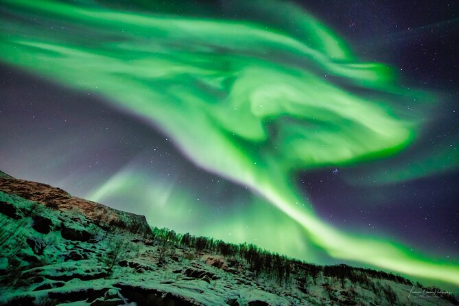 Minivan Northern Lights Excursion (8 Guests per Minivan) - Getting Ready for Your Adventure