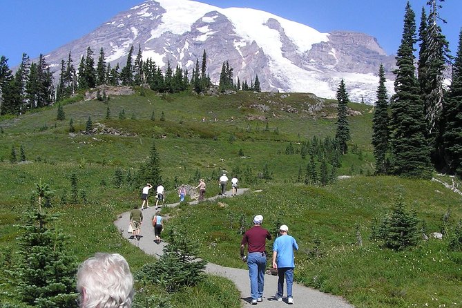 Mt. Rainier Day Tour From Seattle - Stops Along the Way