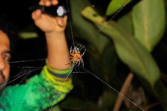 Night Tour La Fortuna - Additional Information