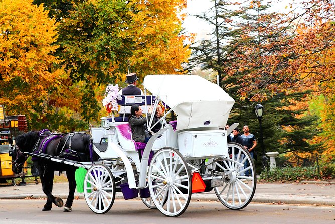 NYC Central Park Horse Carriage Ride (Up to 4 Adults) - Customized and Personalized Experience