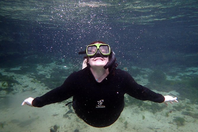 Private OG Manatee Snorkel Tour With Guide for up to 10 People - Private Tour Advantages