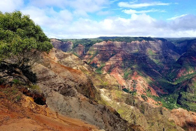Private Waimea Canyon Tour - Customizing Your Private Tour Experience