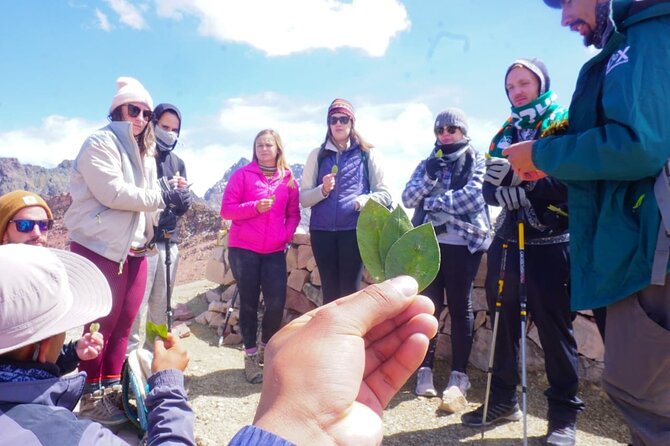Rainbow Mountain Full-Day Tour From Cusco With Small Group - Optional Horse Rental for the Hike