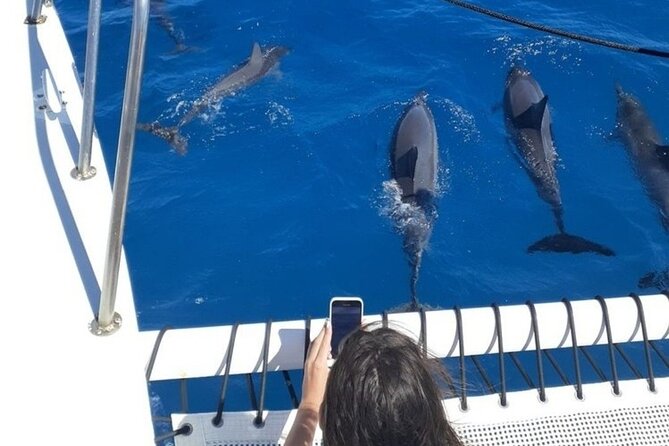 Sail and Turtle Snorkeling Tour in Waikiki - Booking and Cancellation Policy
