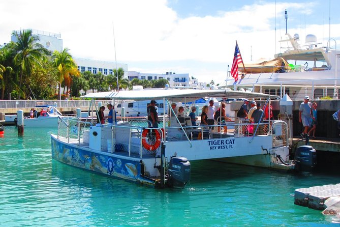 Shark and Wildlife Viewing Adventure in Key West - Booking and Important Information