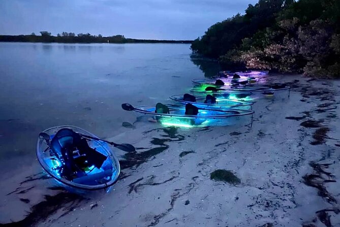 Shell Key Clear Kayak Sunset & Glow Tours - Tour Guides