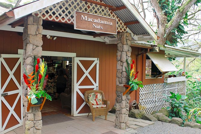 Sights & Bites Island Tour - Connecting With History and Culture