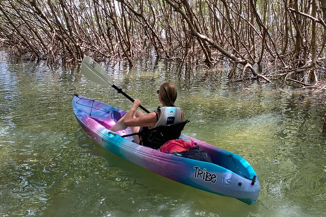 Small Group Kayak Tour of the Shell Key Preserve - Pricing and Cancellation Policy