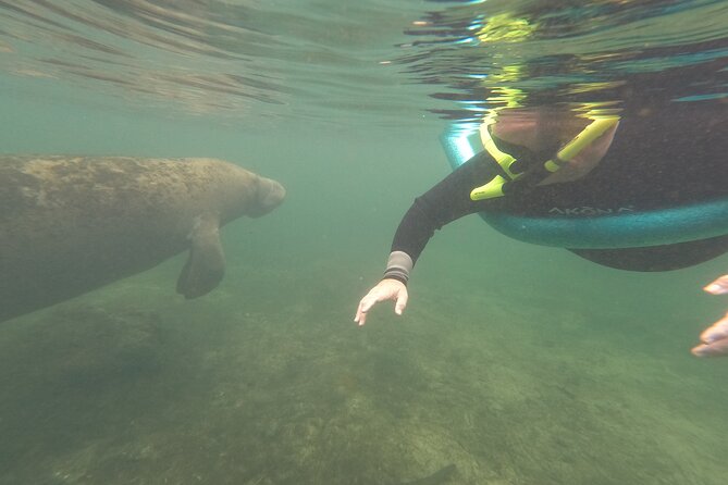 Small Group Manatee Snorkel Tour With In-Water Guide and Photographer - Booking and Availability Information