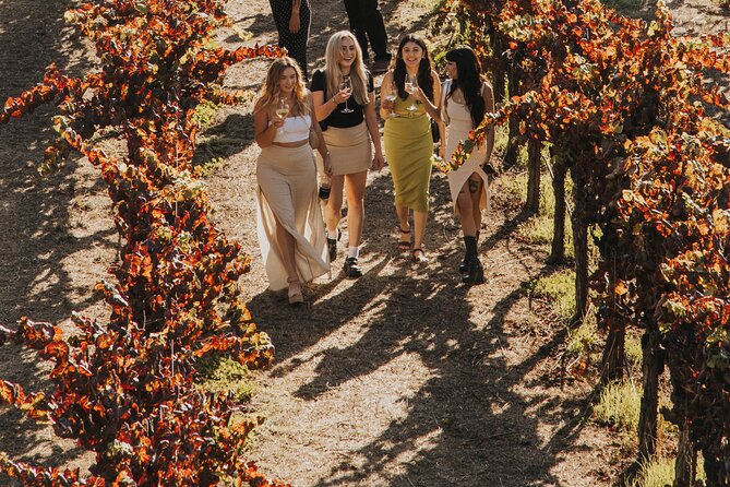 Small Group: Ultimate Napa & Sonoma Wine Tour From San Francisco - Customer Feedback and Reviews