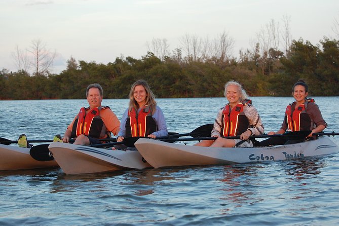 Sunset Tour Mangrove, Dolphins, Manatee #1 Rated in Cocoa Beach - Booking and Cancellation Policy