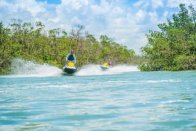 Ten Thousand Island Jet Ski Eco Tour - Marco Island - Dolphin Sightings and Mangrove Forests