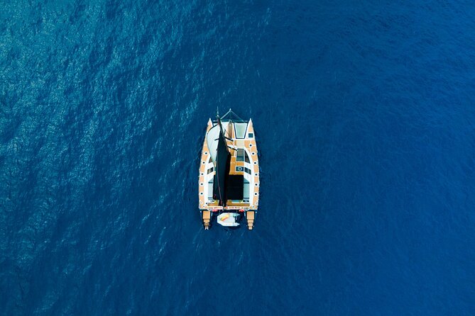 Tenerife Whales and Dolphins Watching Experience in Catamaran - Ensuring a Memorable Whale and Dolphin Watching Adventure