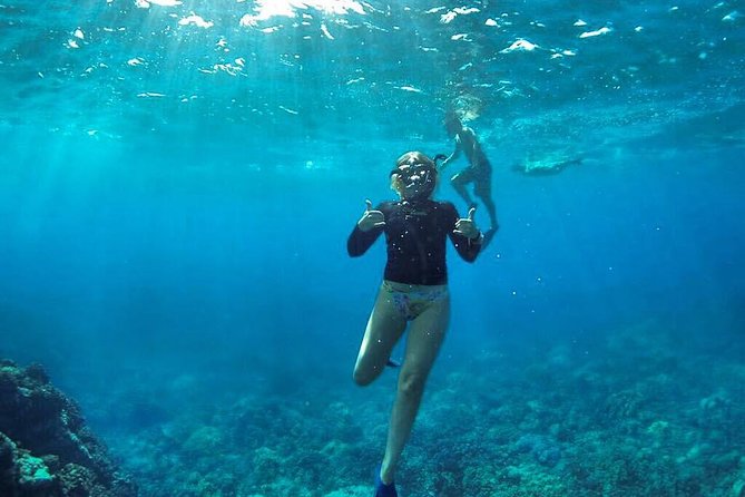 Ultimate 4 Hour Lanai Snorkel and Dolphin Encounter - What to Expect on the Tour