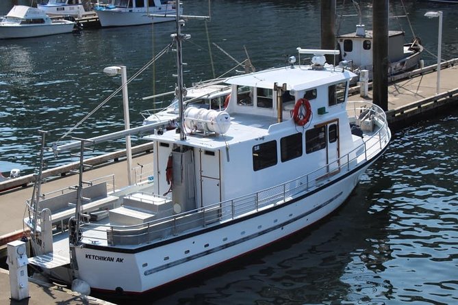 Wildlife Viewing and Whale Watching Quest - Addressing Weather Challenges and Unpredictable Nature