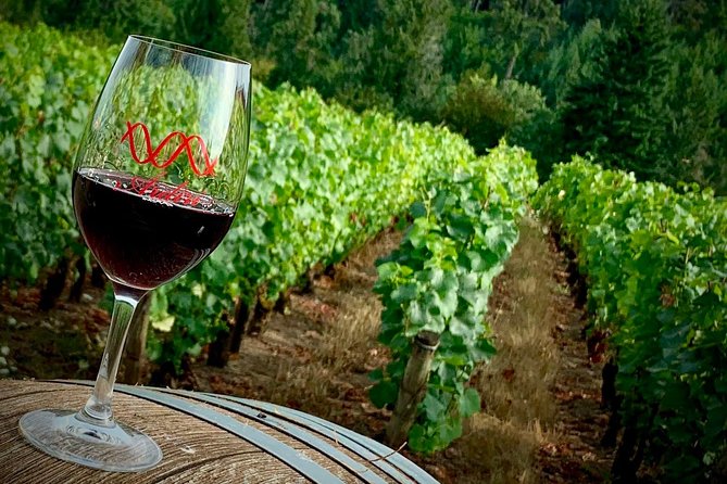 Willamette Valley Wine Tour From Portland (Tasting Fees Included) - Customer Feedback