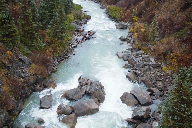 Yukon Suspension Bridge and Summit Tour - Reaching the White Pass Summit