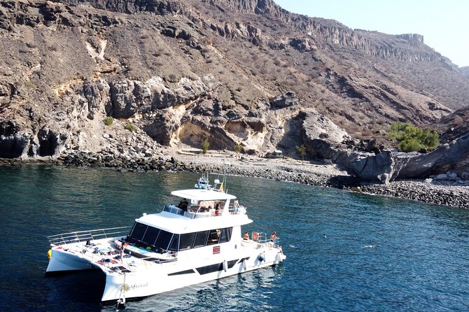 Afrikat Morning Cruise - Key Points