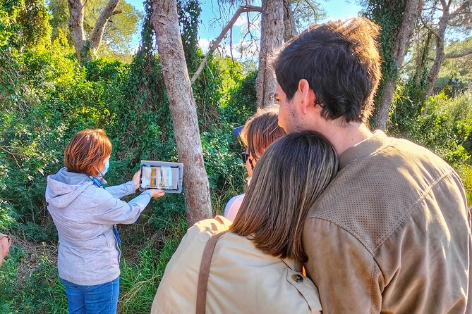 Albufera Natural Park Tour With Boat Ride From Valencia - Key Points