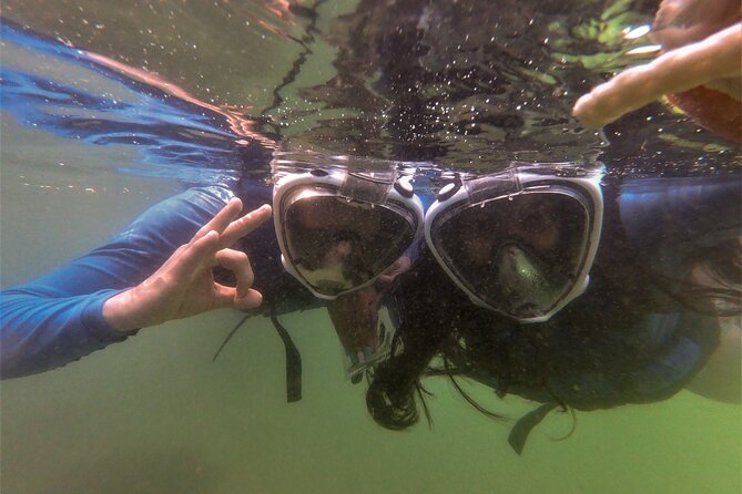 Aqua Aventura - Diving for Families - Key Points
