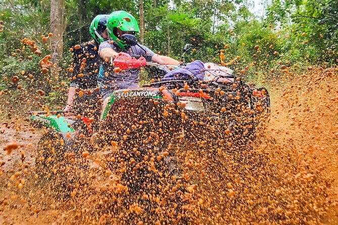 ATV Adventure Through the Forest With Canyon Views - Key Points
